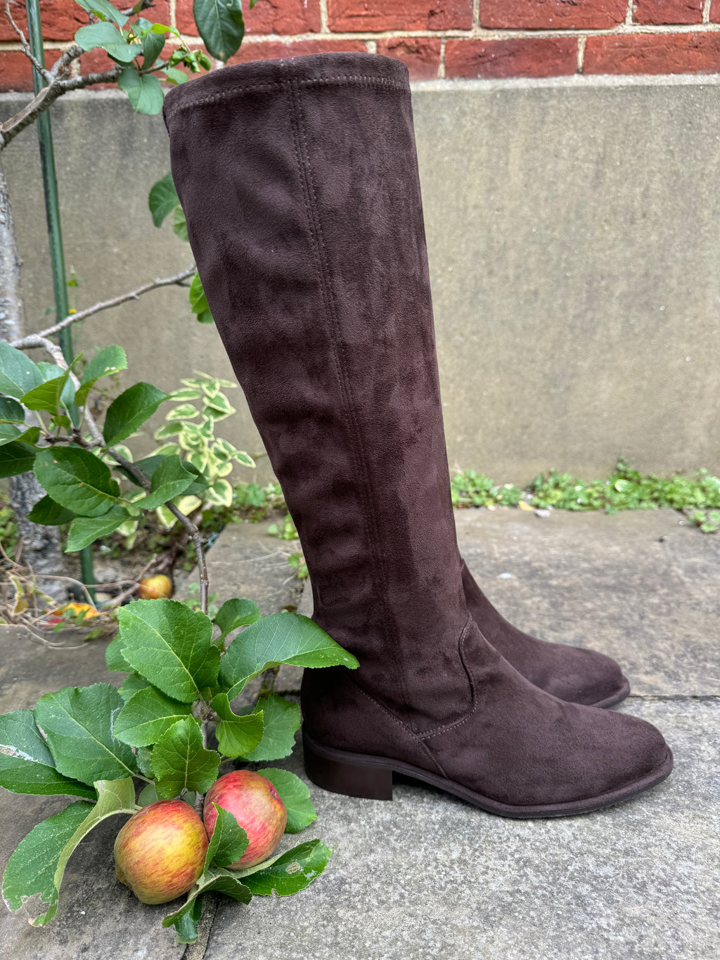 Hetre Alresford Hampshire Shoe Store Pedro Miralles Long Chocolate Stretch Boot