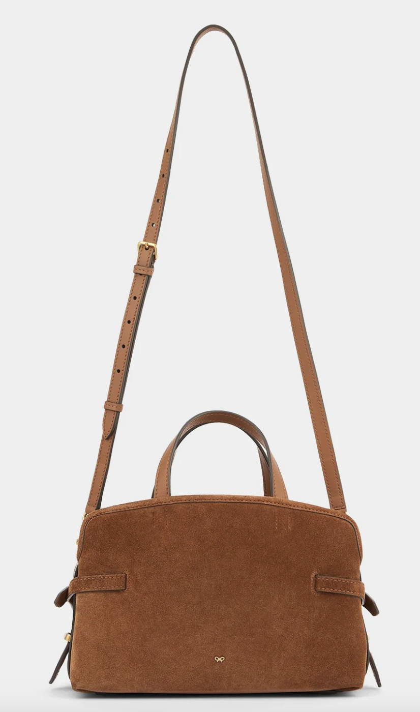 Hetre Alresford Hampshire Accessory Store Anya Hindmarch Pecan Suede Small Wilson